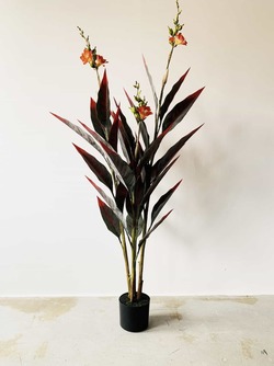 Canna Blomst I Potte 147Cm ikke relevant - Trend Design