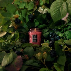 Duftlys - Foraged Wildberry 156g, 50t ikke relevant - Voluspa