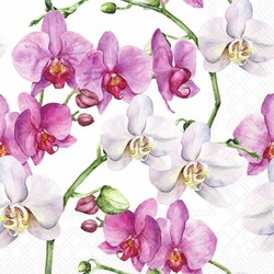 Napkin Elegant Orchids, 33x33cm 20stk ikke relevant - Ambiente